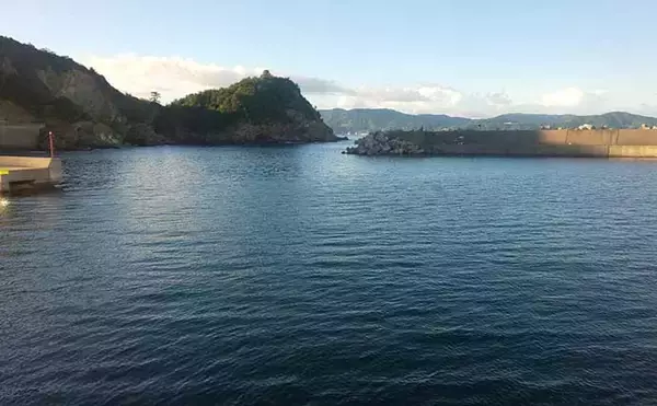 「陸っぱりルアーカマスゲームで26cm頭に7匹　早朝の時合いに回遊あり」の画像