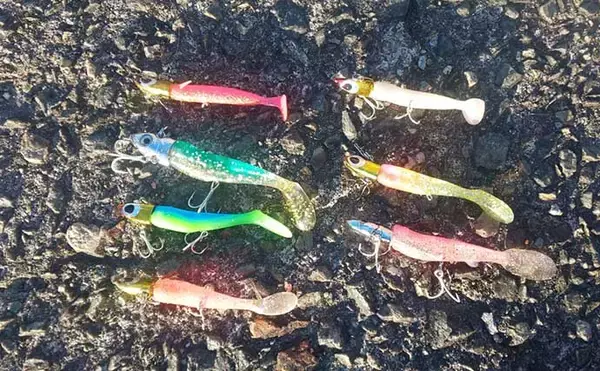 「陸っぱりルアーカマスゲームで26cm頭に7匹　早朝の時合いに回遊あり」の画像