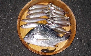 陸っぱり釣り師が使う【釣りの言い訳】　釣りが好きな気持ちにはウソはつけない？