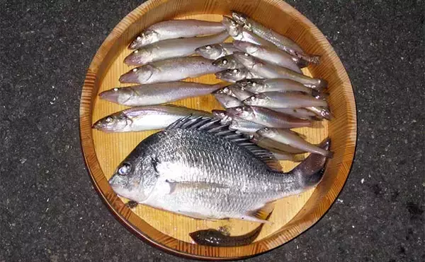 陸っぱり釣り師が使う【釣りの言い訳】　釣りが好きな気持ちにはウソはつけない？