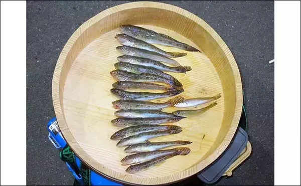 「陸っぱり釣り師が使う【釣りの言い訳】　釣りが好きな気持ちにはウソはつけない？」の画像