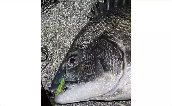 「「神頼みで釣果アップ！」釣りにご利益がある大阪周辺の【大漁祈願神社3選】」の画像