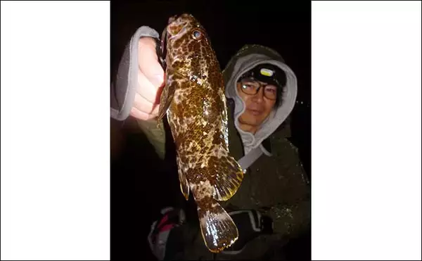 「陸っぱりロックフィッシュゲームでカサゴが連発【三重・富洲原】スローフォールが的中？」の画像