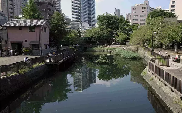 「「潮変化を読んで良型連発！」佃堀のハゼ釣りで37尾キャッチ【東京・中央区】」の画像