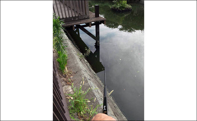 「潮変化を読んで良型連発！」佃堀のハゼ釣りで37尾キャッチ【東京・中央区】