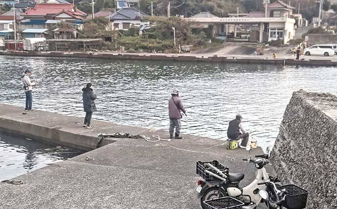 相浜漁港でまさかのシマアジ連発！【千葉県】陸っぱりサビキに高級魚ヒット