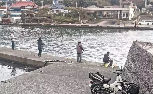 「相浜漁港でまさかのシマアジ連発！【千葉県】陸っぱりサビキに高級魚ヒット」の画像