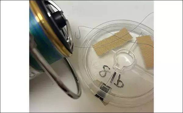 「メバリングタックルを積極的に流用しよう　大型のシーバスとクロダイにも対応可能」の画像