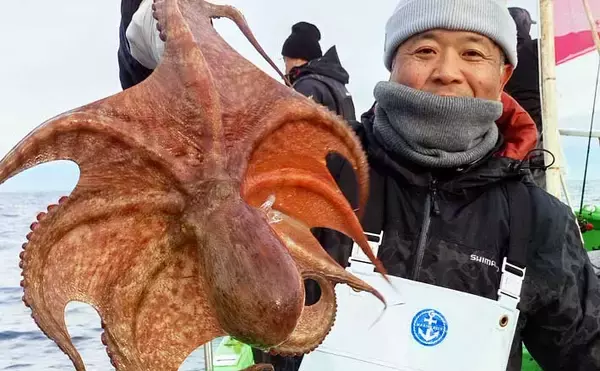 「3〜5kg級の大ダコ続出！」日立沖のマダコ釣りは速潮対応のシンプル仕掛けが鍵【茨城】