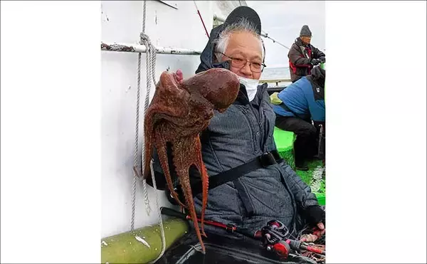 「「3〜5kg級の大ダコ続出！」日立沖のマダコ釣りは速潮対応のシンプル仕掛けが鍵【茨城】」の画像