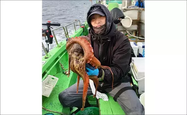 「「3〜5kg級の大ダコ続出！」日立沖のマダコ釣りは速潮対応のシンプル仕掛けが鍵【茨城】」の画像