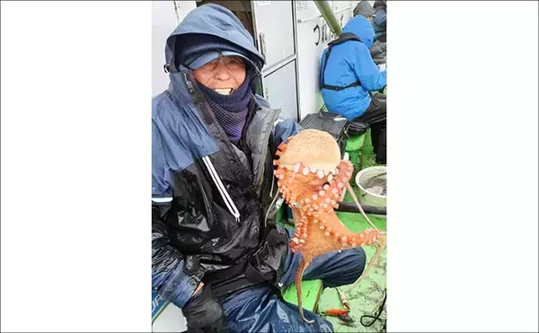 「「3〜5kg級の大ダコ続出！」日立沖のマダコ釣りは速潮対応のシンプル仕掛けが鍵【茨城】」の画像