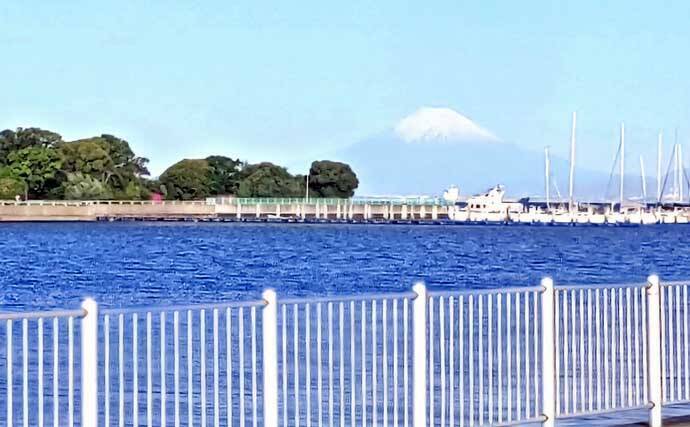 東京湾・潮干狩りレポート：木更津でアサリ規定量達成！【千葉】