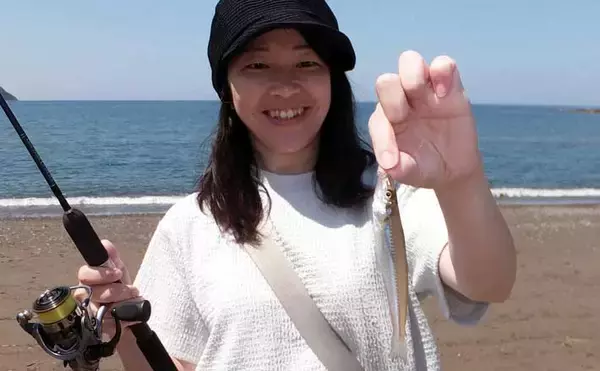 伊豆半島ちょい投げ釣果レポート：誘いハマって1時間でシロギス8尾【仁科大浜海岸】