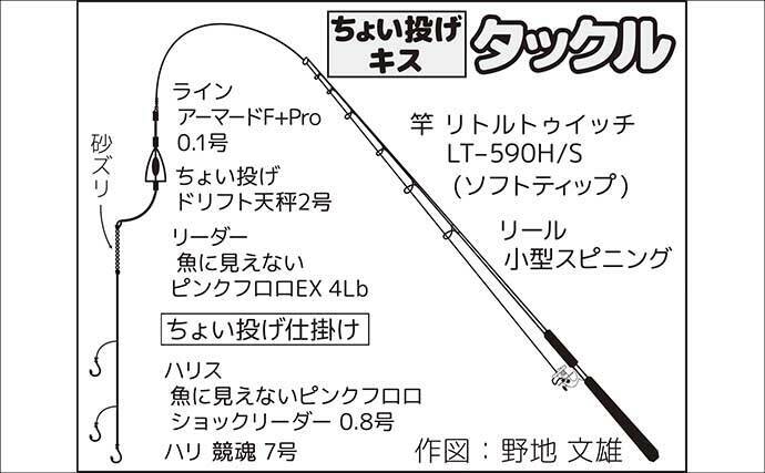 伊豆半島ちょい投げ釣果レポート：誘いハマって1時間でシロギス8尾【仁科大浜海岸】