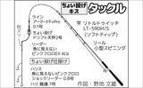 「伊豆半島ちょい投げ釣果レポート：誘いハマって1時間でシロギス8尾【仁科大浜海岸】」の画像2