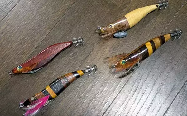 「自作のエギで1.5kg超えモンゴウイカ手中！【京都】複数木材を組み合わせた寄木仕様のエギにヒット」の画像