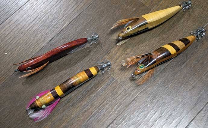 自作のエギで1.5kg超えモンゴウイカ手中！【京都】複数木材を組み合わせた寄木仕様のエギにヒット