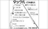「アオリイカのウキ釣り解説　生きエサと死にエサどっちが釣れる？」の画像2