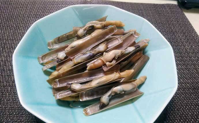 1時間の潮干狩りでマテガイ88匹ゲット【神奈川・海の公園】数採るコツと注意点も解説