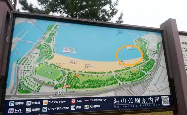 「1時間の潮干狩りでマテガイ88匹ゲット【神奈川・海の公園】数採るコツと注意点も解説」の画像