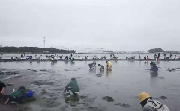 「1時間の潮干狩りでマテガイ88匹ゲット【神奈川・海の公園】数採るコツと注意点も解説」の画像