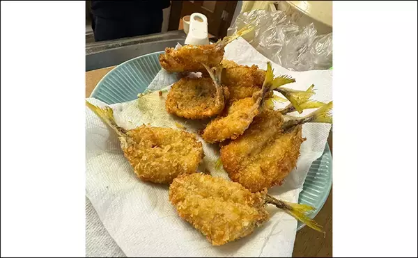 「イカダでのサビキ釣りでアジ入れ食い【三重・海香】泳がせ釣りではハモがヒット」の画像