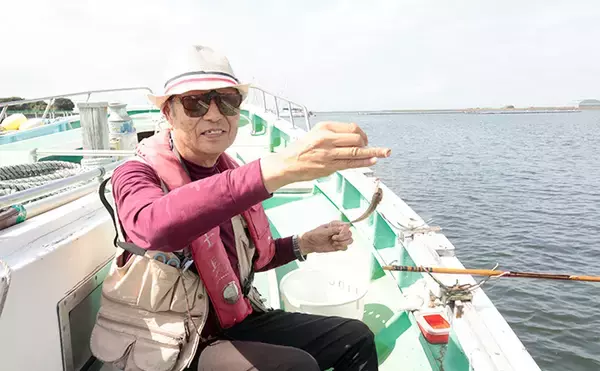 「「優勝は圧巻の203匹！」東京湾の船ハゼ釣り大会で束釣り達成者続出【深川冨士見】」の画像