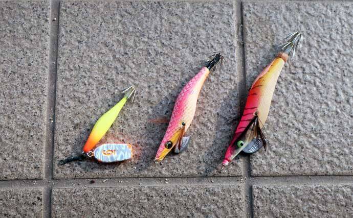 「これからがベストシーズン！」 スッテ＆エギングで狙うテナガダコ釣り