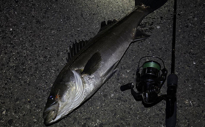 「春になればメバルは簡単に釣れる」は嘘？　メバリングで60cm級シーバスのみ