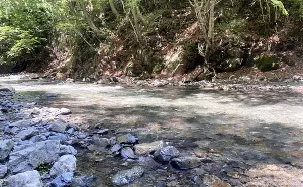 「初夏の渓でフライフィッシング【谷津川】アントフライにヤマメ連発も良型は不発」の画像
