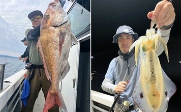 関西エリアの【船釣り特選釣果】タイラバで大ダイ86.5cm！ティップランでは竿頭18匹【京都】