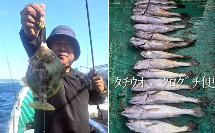 関西エリアの【船釣り特選釣果】タイラバで大ダイ86.5cm！ティップランでは竿頭18匹【京都】