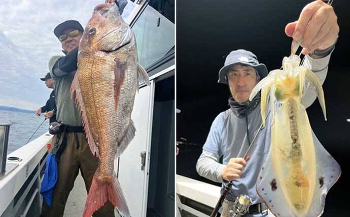 関西エリアの【船釣り特選釣果】タイラバで大ダイ86.5cm！ティップランでは竿頭18匹【京都】