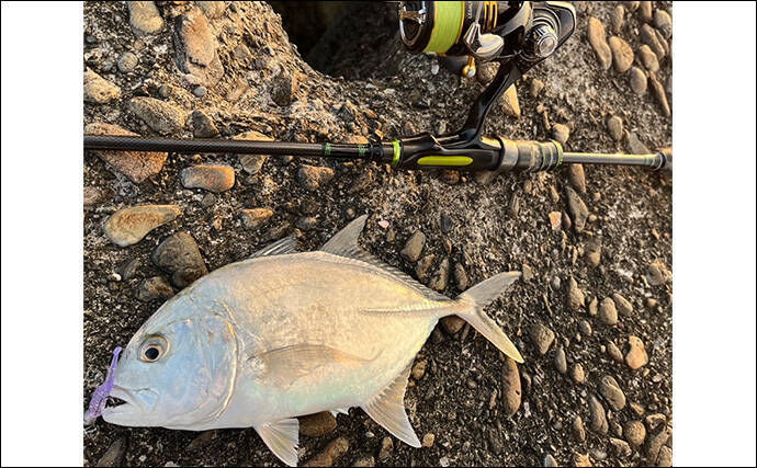 秋のメッキゲームで良型が入れ食い！【和歌山・南紀白浜】ミノー＆ボトムワインドに好反応