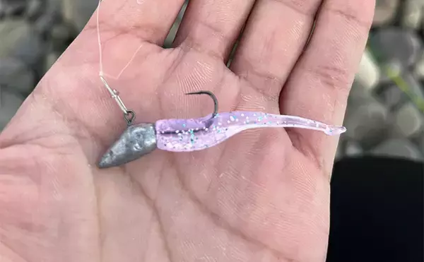 「秋のメッキゲームで良型が入れ食い！【和歌山・南紀白浜】ミノー＆ボトムワインドに好反応」の画像