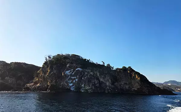 「真冬の沖磯で40cm級尾長を好捕！【伊豆半島】 一筋縄でいかない寒メジナ釣りを満喫」の画像