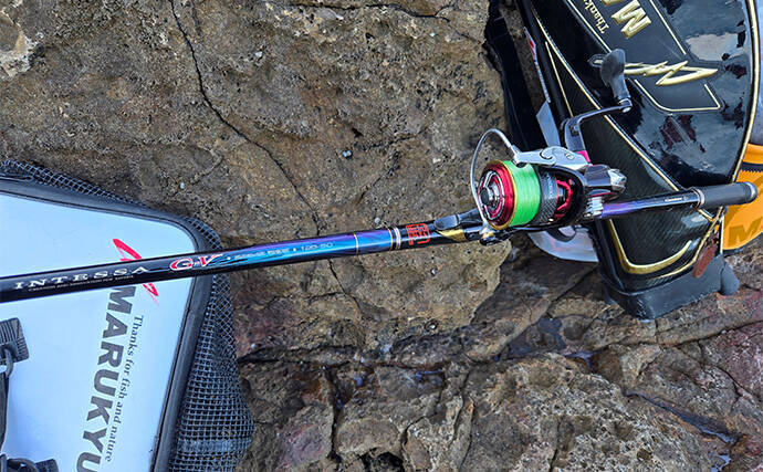 真冬の沖磯で40cm級尾長を好捕！【伊豆半島】 一筋縄でいかない寒メジナ釣りを満喫