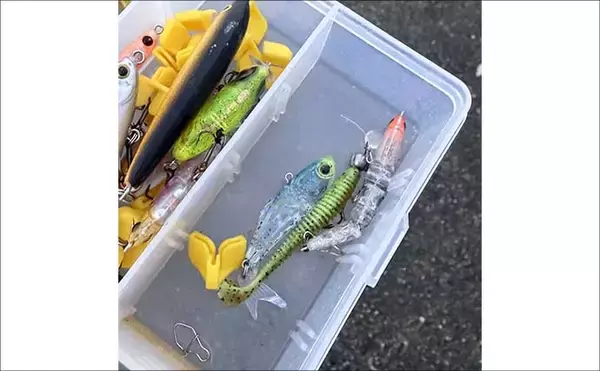 「「そんなに釣れない」のにメバリングでバイブレーションを使う理由　思わぬ1尾を連れてくる？」の画像