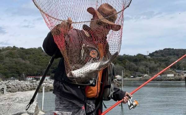 ノッコミ期のチヌ狙いフカセ釣りで45cm級頭に本命6枚 潮流れると連発 22年4月13日 エキサイトニュース