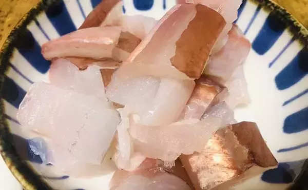 「宮崎の沖磯でルアー＆フカセ釣り満喫　ゲストに高級魚「アカヤガラ」も」の画像