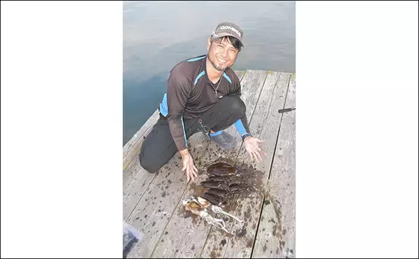 「イカダからヤエン釣りとエギングでアオリイカを狙う【三重】両釣法合わせて8匹をキャッチ」の画像