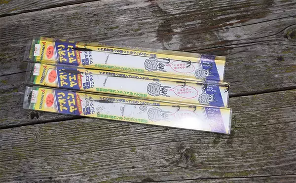 「イカダからヤエン釣りとエギングでアオリイカを狙う【三重】両釣法合わせて8匹をキャッチ」の画像