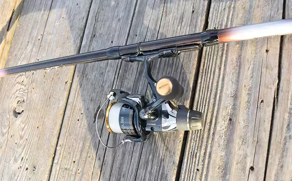 「イカダからヤエン釣りとエギングでアオリイカを狙う【三重】両釣法合わせて8匹をキャッチ」の画像