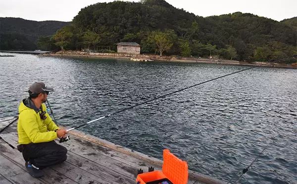 「イカダからヤエン釣りとエギングでアオリイカを狙う【三重】両釣法合わせて8匹をキャッチ」の画像