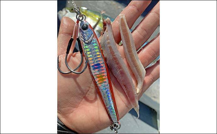 ライトジギング釣行で8kg超ブリ＆ワラサ4kgヒット【愛知】マッチザベイトで良型を仕留める