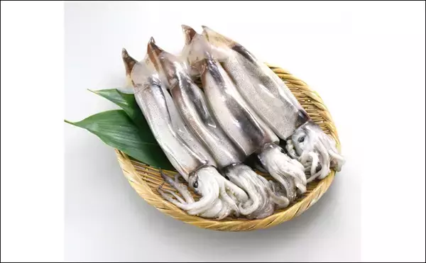 「「イカといえばスルメイカ」は過去の話？　海外産の輸入イカの勢力が拡大中」の画像