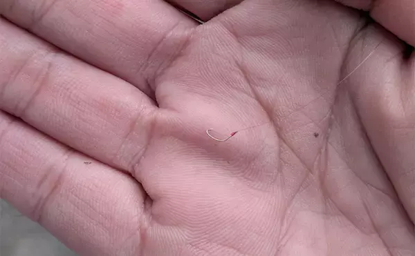 「減水水路のタナゴ釣りで50匹超え達成【京都】 岸際の浅場を極小仕掛けで攻略」の画像