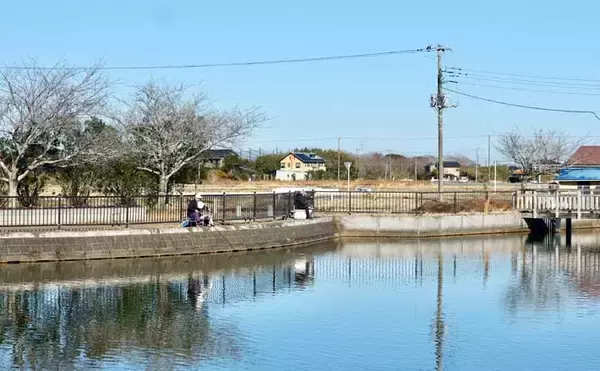 今週のヘラブナ推薦釣り場2026【千葉・川口沼】