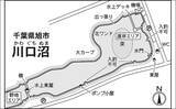 「今週のヘラブナ推薦釣り場2026【千葉・川口沼】」の画像2
